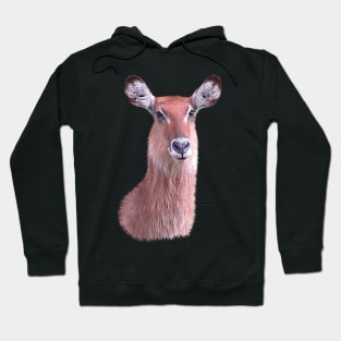 Waterbuck - Antelope - Gazelle - Africa Hoodie